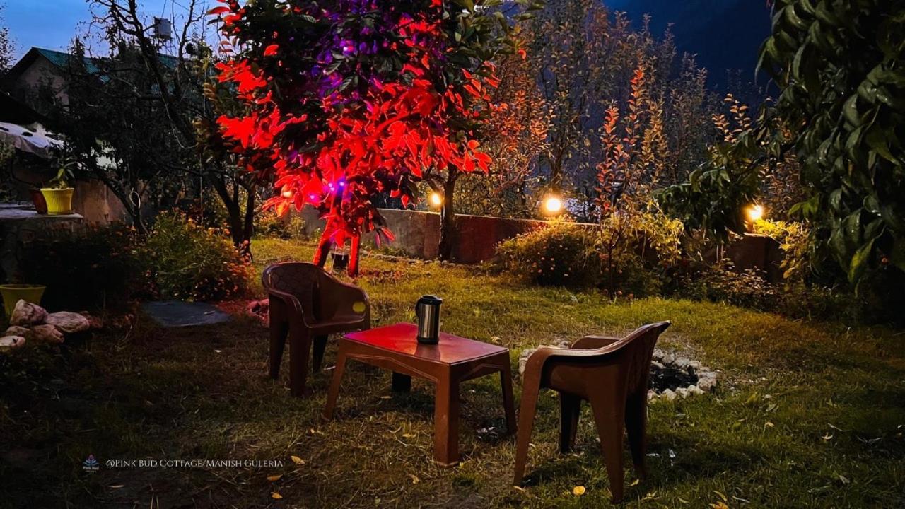 Pink Bud 6bhk * Manali (Himachal Pradesh)