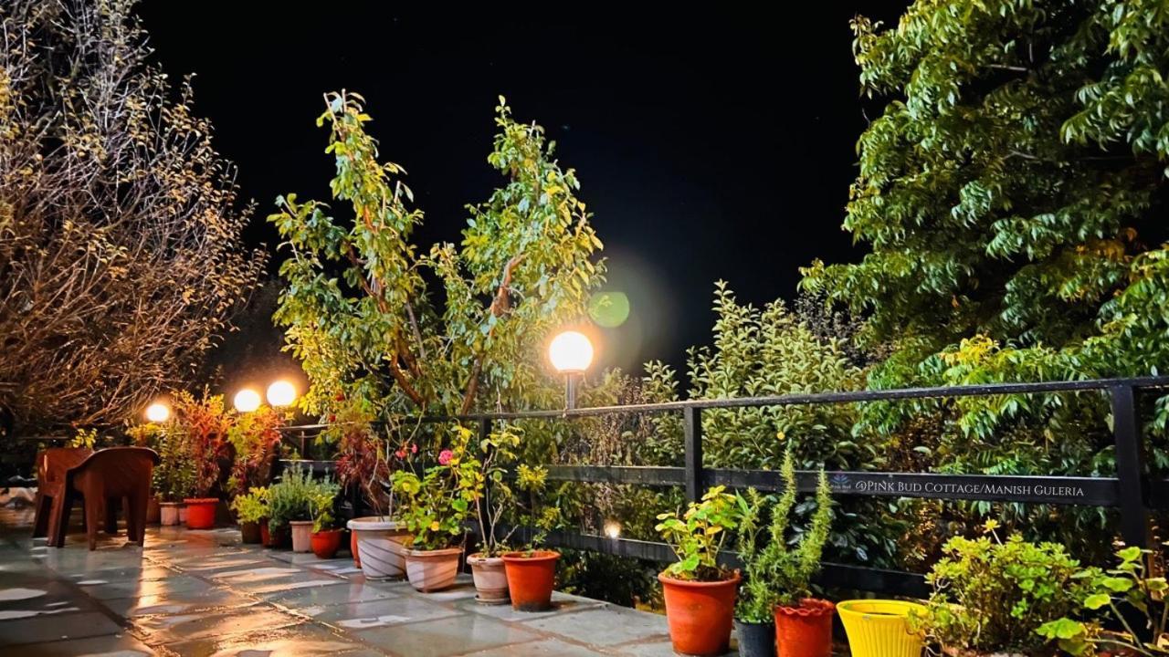 Pink Bud 6bhk *
